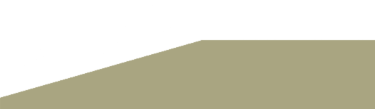 Actualités